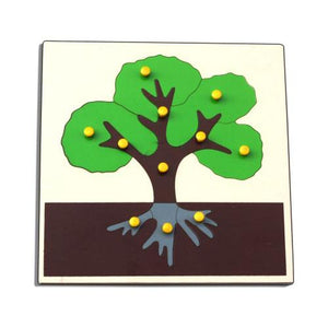 Botany Puzzles Lifecycle Of a Tree (3 Nos. With Storage Cabinet )