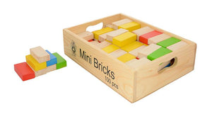 Mini Bricks (100 Pieces)