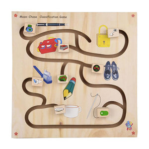 Maze Chase - Classification Game