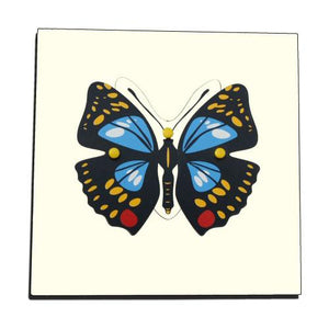 Botany Puzzles Lifecycle Of a Butterfly (3 Nos. With Storage Cabinet )