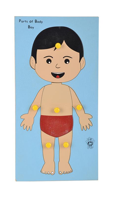 Parts of Body Tray (Boy)