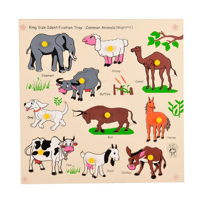 Magnetic King Size Identification Tray - Common Animals