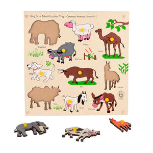 Magnetic King Size Identification Tray - Common Animals