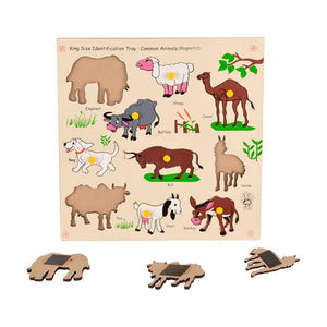 Magnetic King Size Identification Tray - Common Animals