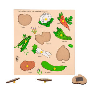 Magnetic King Size Identification Tray - Vegetables