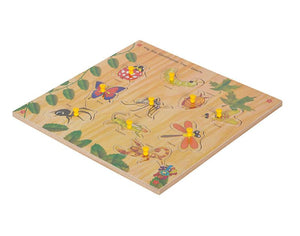 King Size Identification Tray - Insects