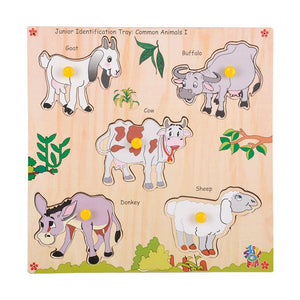 Junior Identification  Trays - Common Animals I