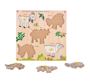 Junior Identification  Trays - Common Animals I