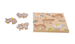 Junior Identification  Trays - Common Animals I