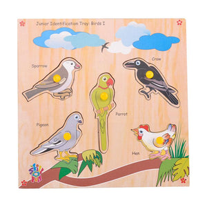 Junior Identification  Trays - Birds I