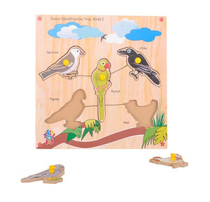 Junior Identification  Trays - Birds I