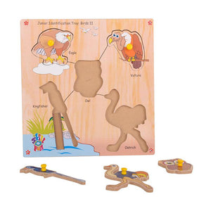 Junior Identification  Trays - Birds II