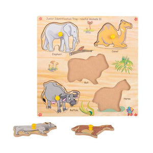 Junior Identification  Trays - Useful Animals II