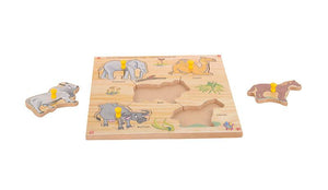 Junior Identification  Trays - Useful Animals II